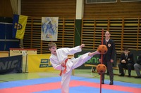 Landesmeisterschaft 2026
